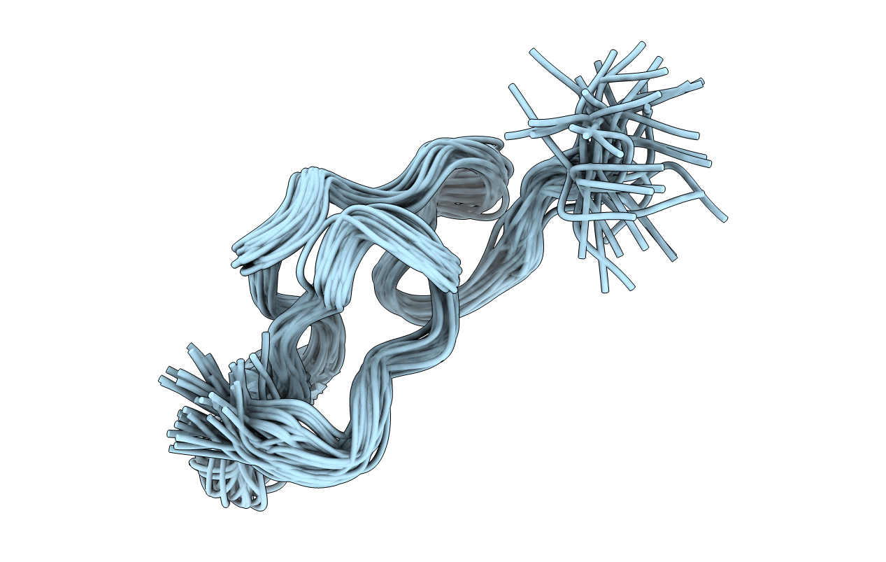 2W9W image