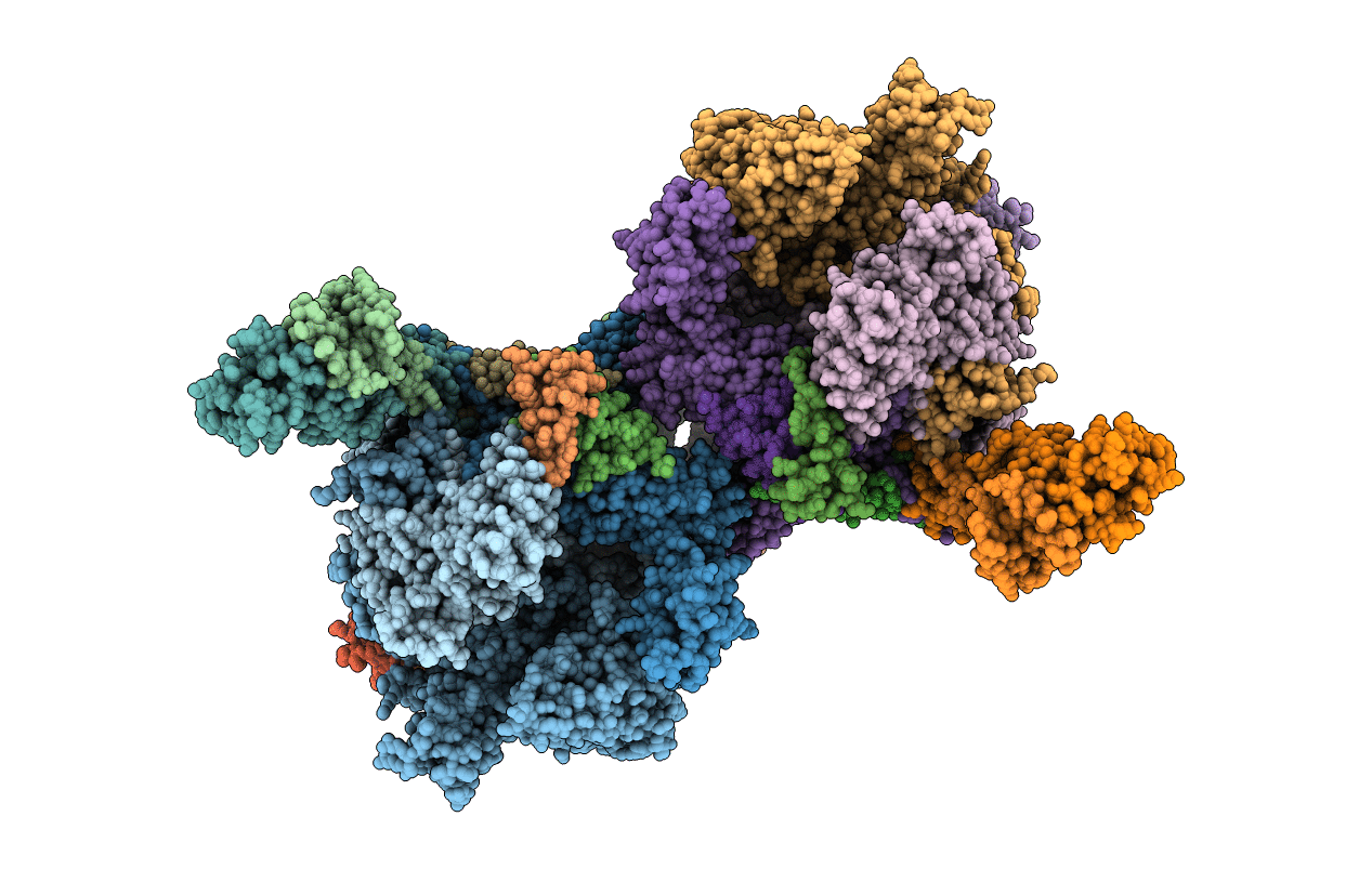 2WB1 image