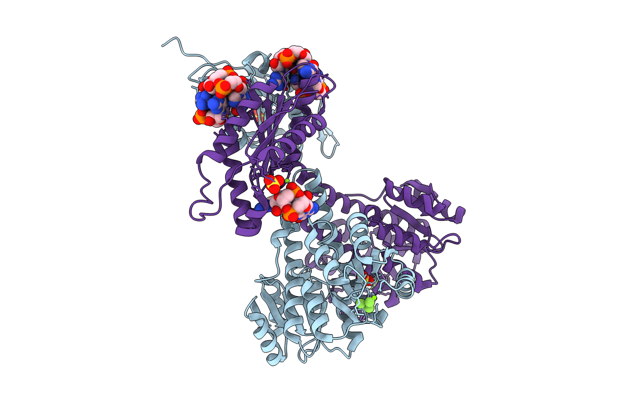 2WB4 image