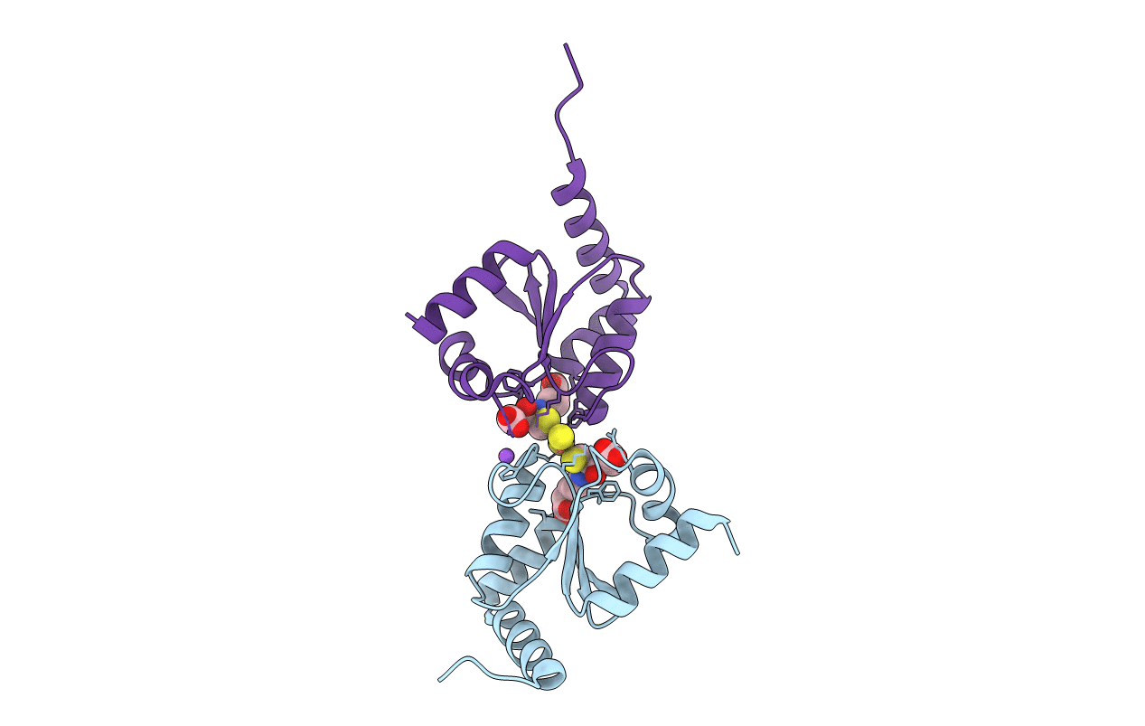 2WCI image