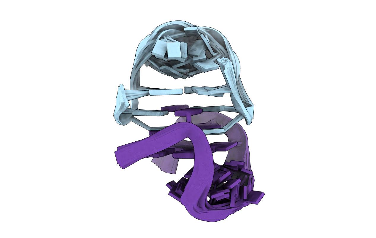 2WCN image
