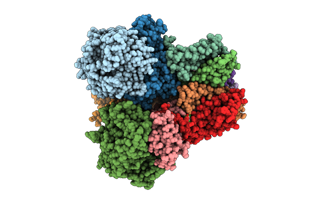 2WDR image
