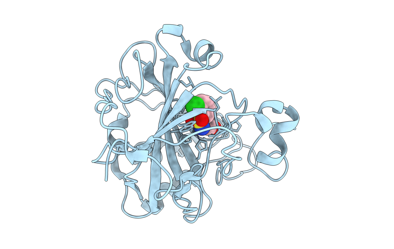 2WEH image