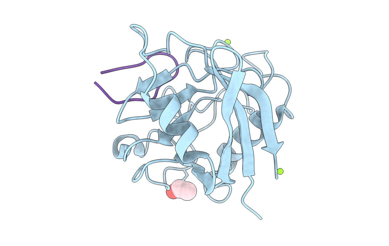 2WFJ image