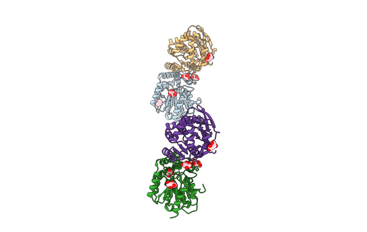 2WJ3 image