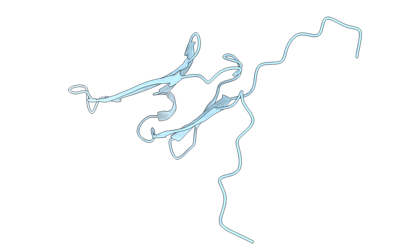2WJ5 image