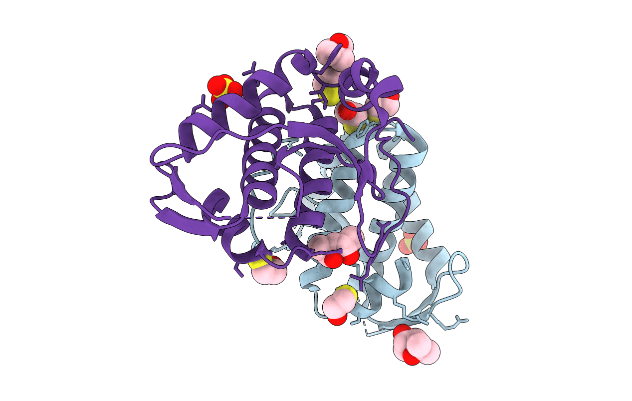 2WJ9 image