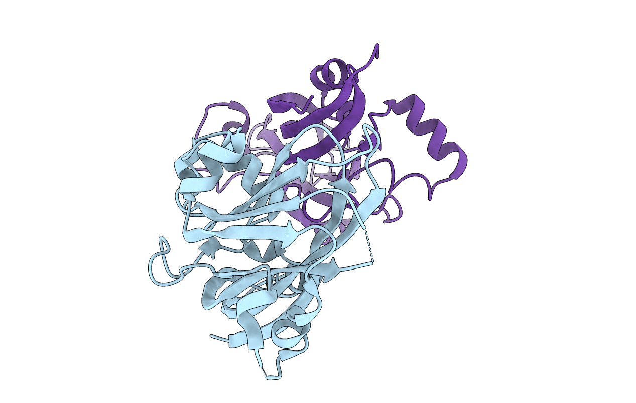 2WLP image