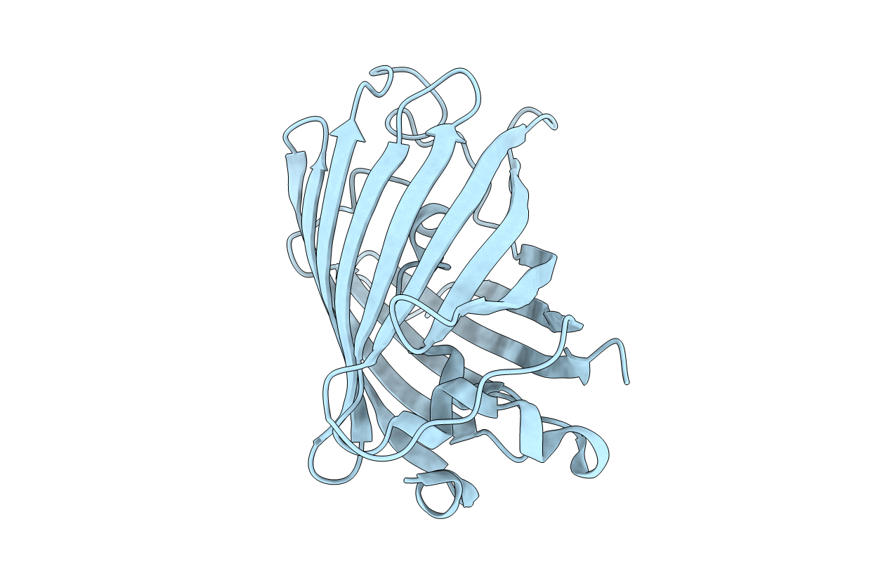 2WSO image