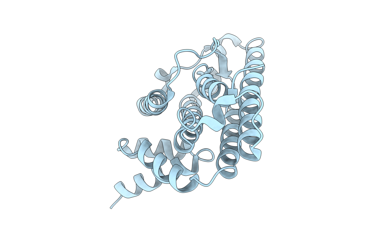 2WVN image