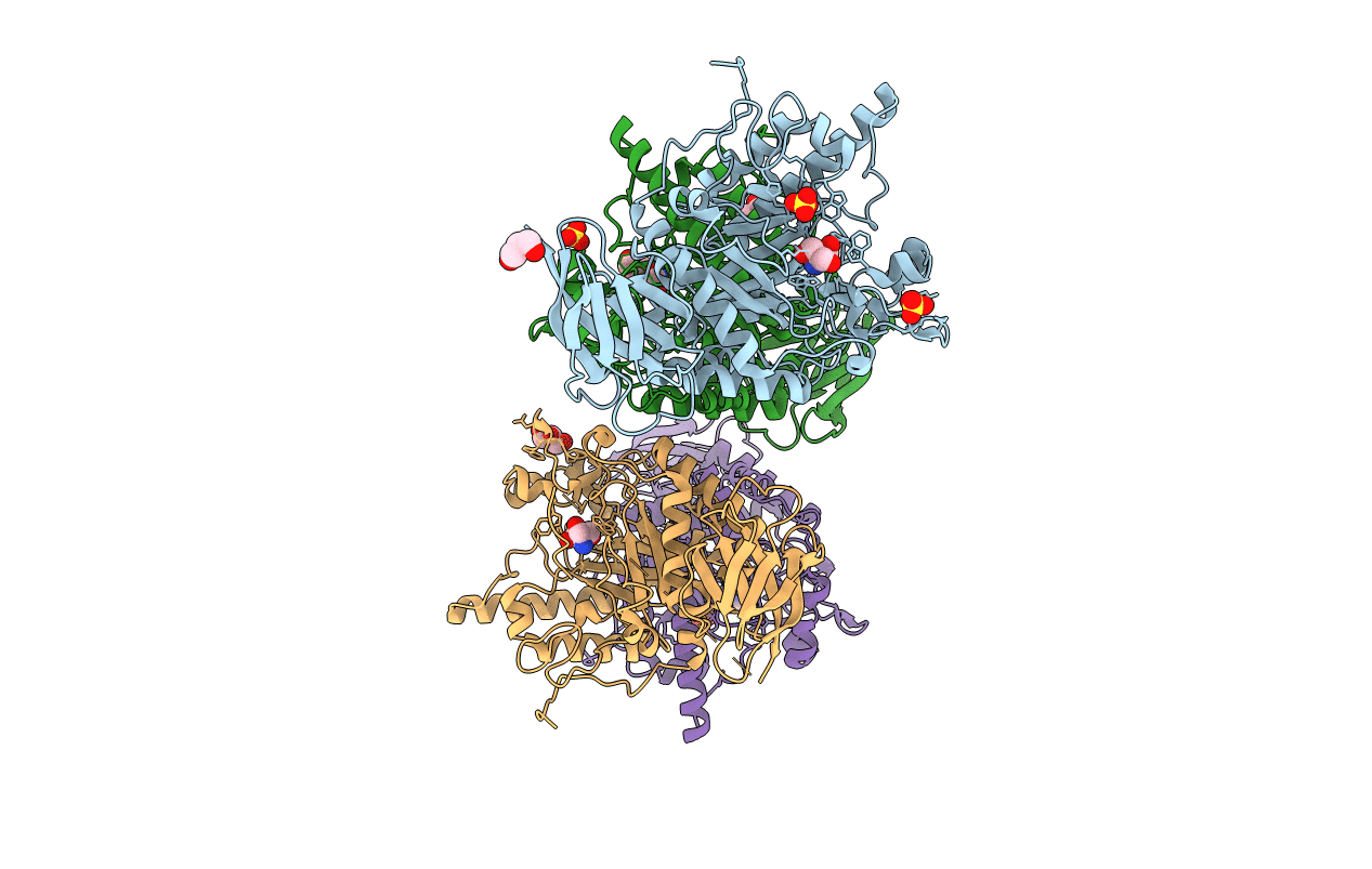 2WVV image