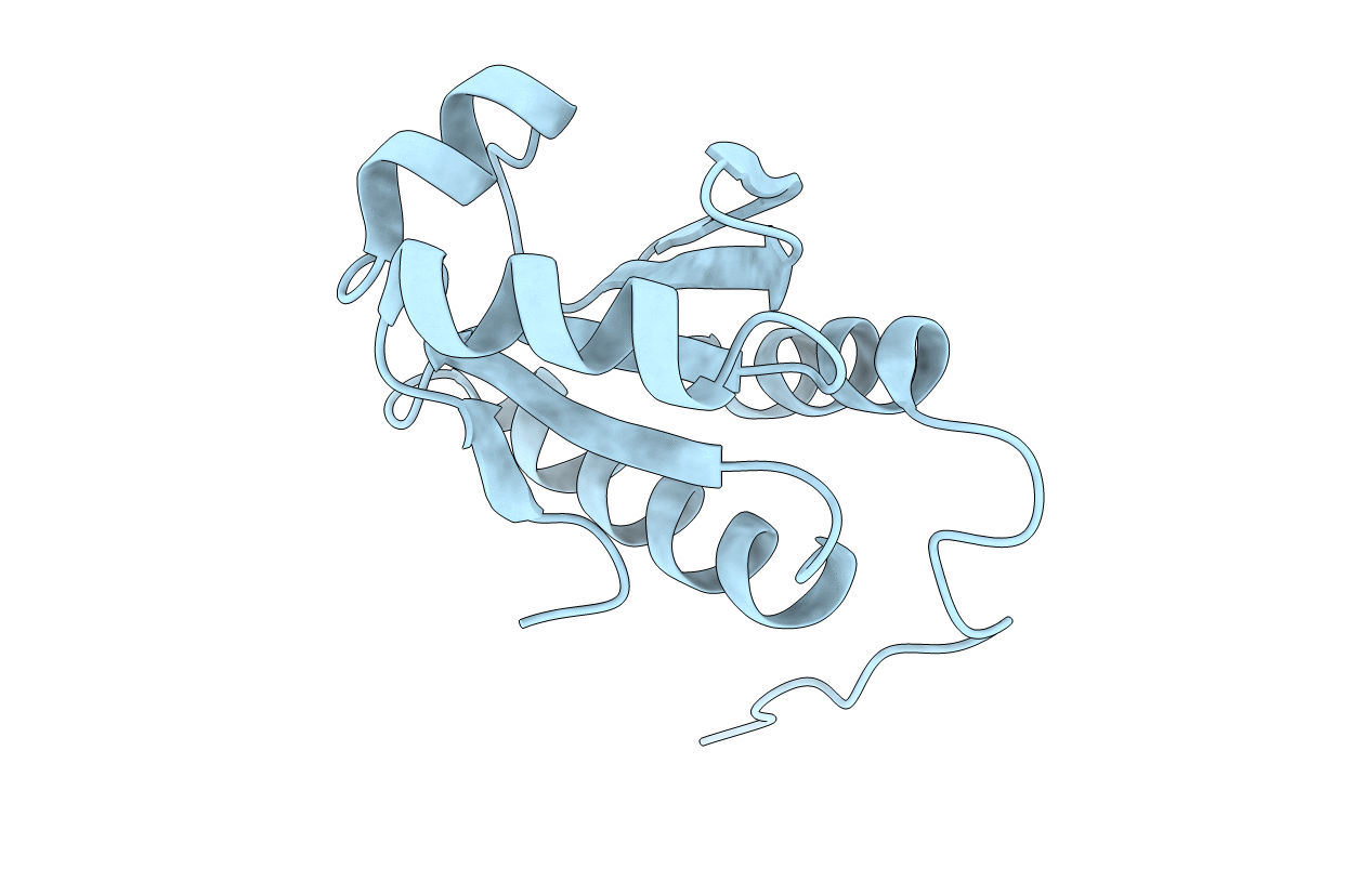 2WZ9 image