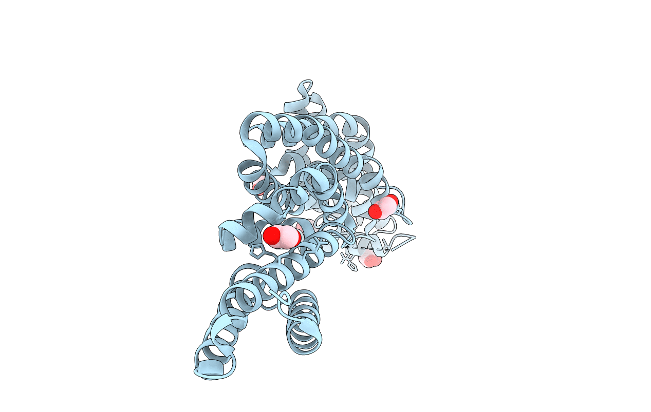 2WZK image