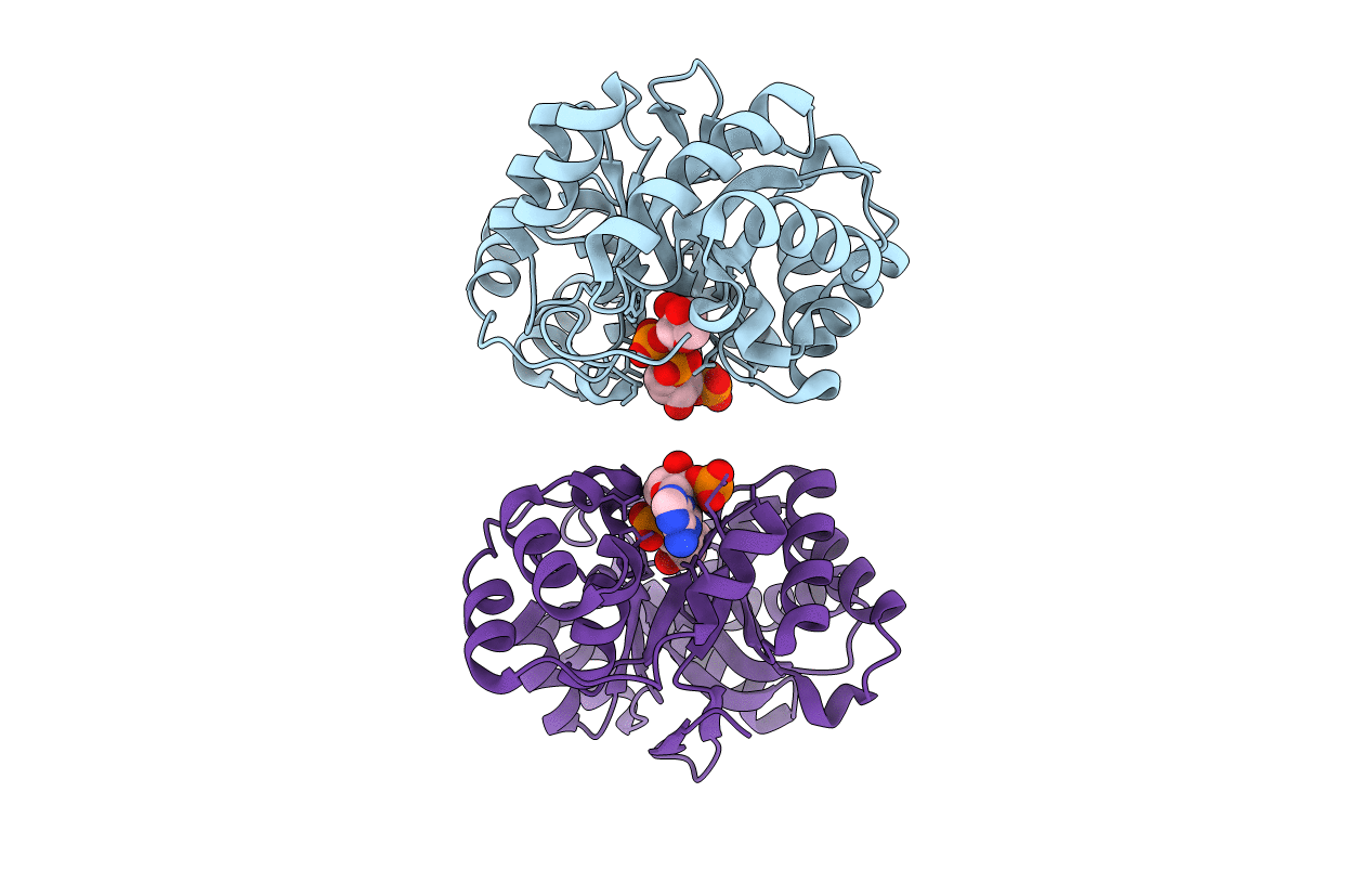 2WZM image