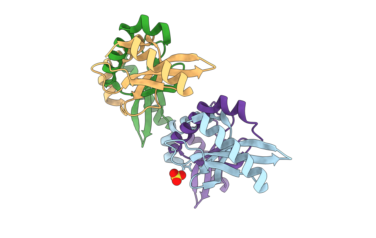 2X5H image