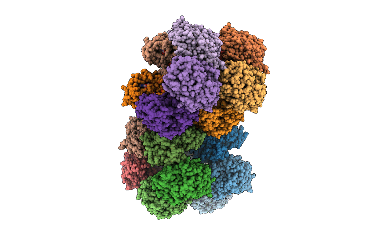 2X86 image