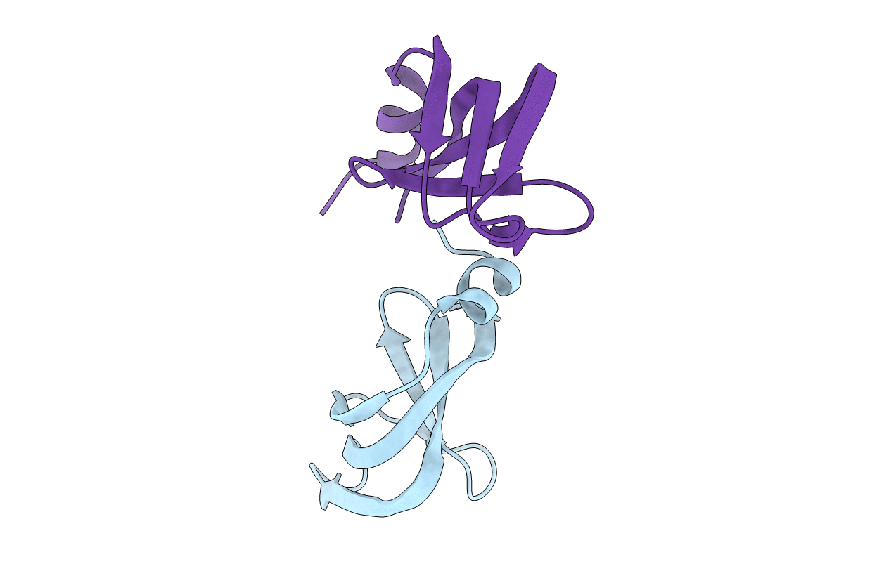 2X9B image