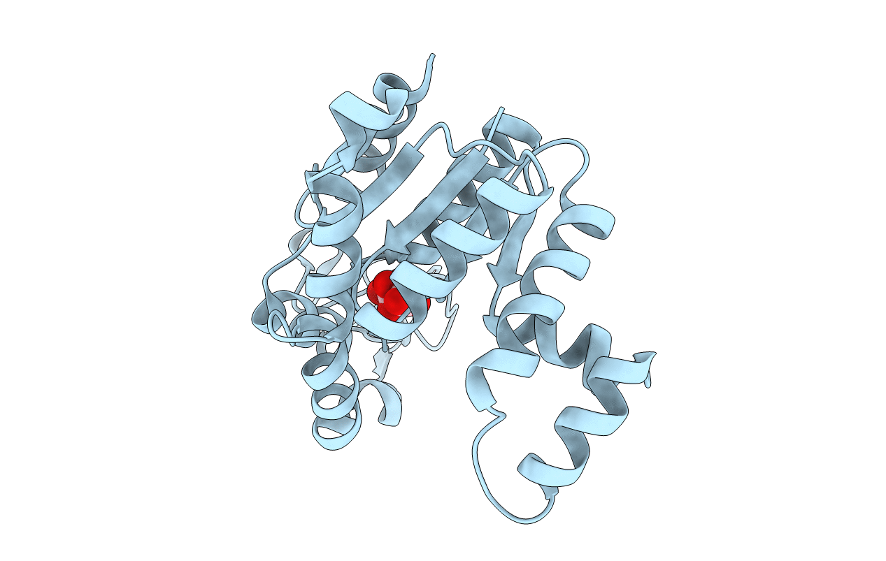 2XB4 image