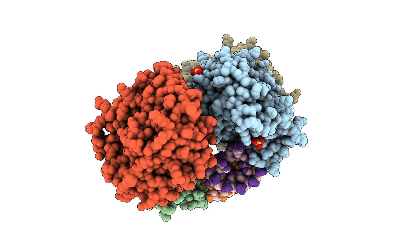 2XBM image