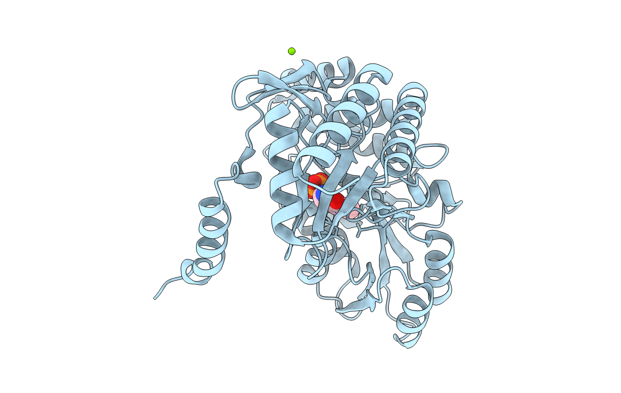 2XBN image