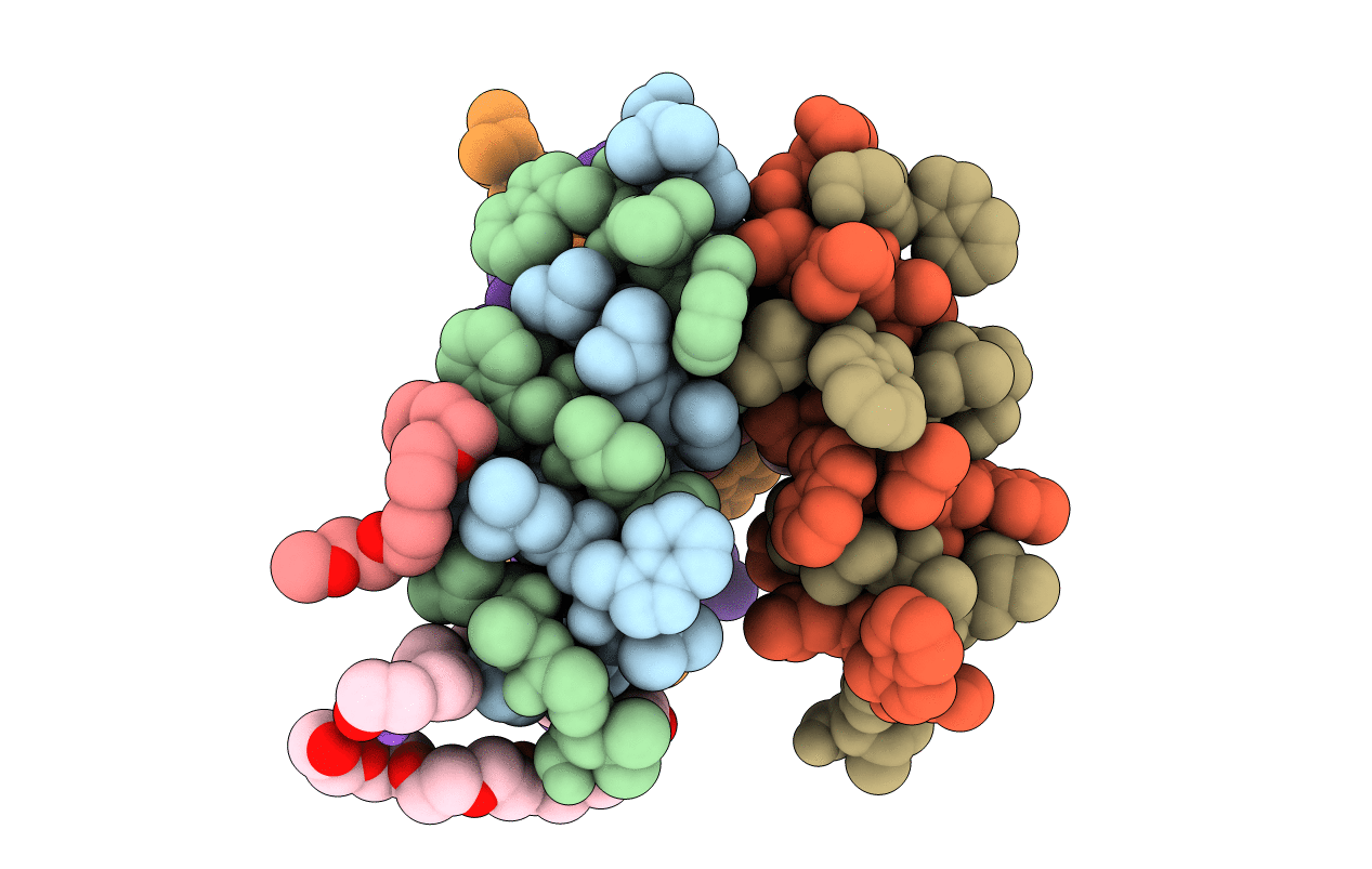 2XDC image