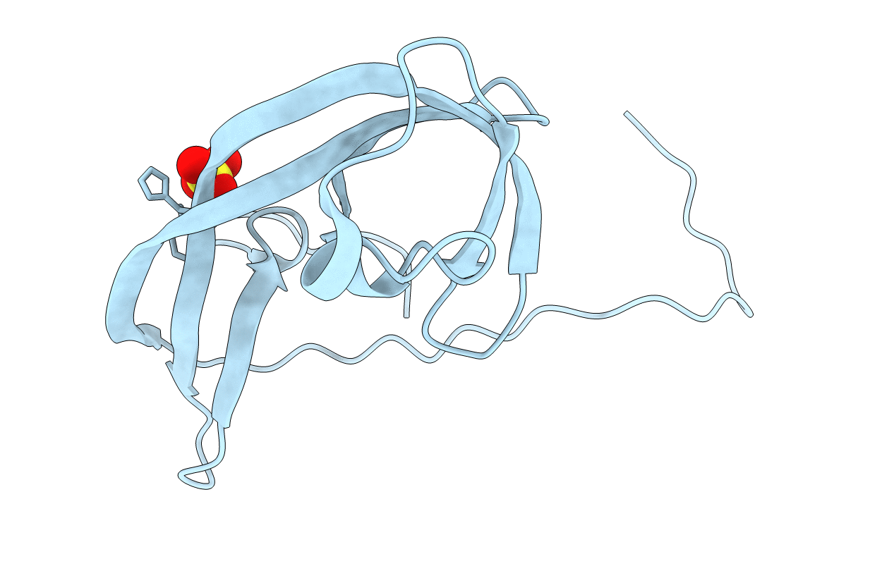 2XDP image