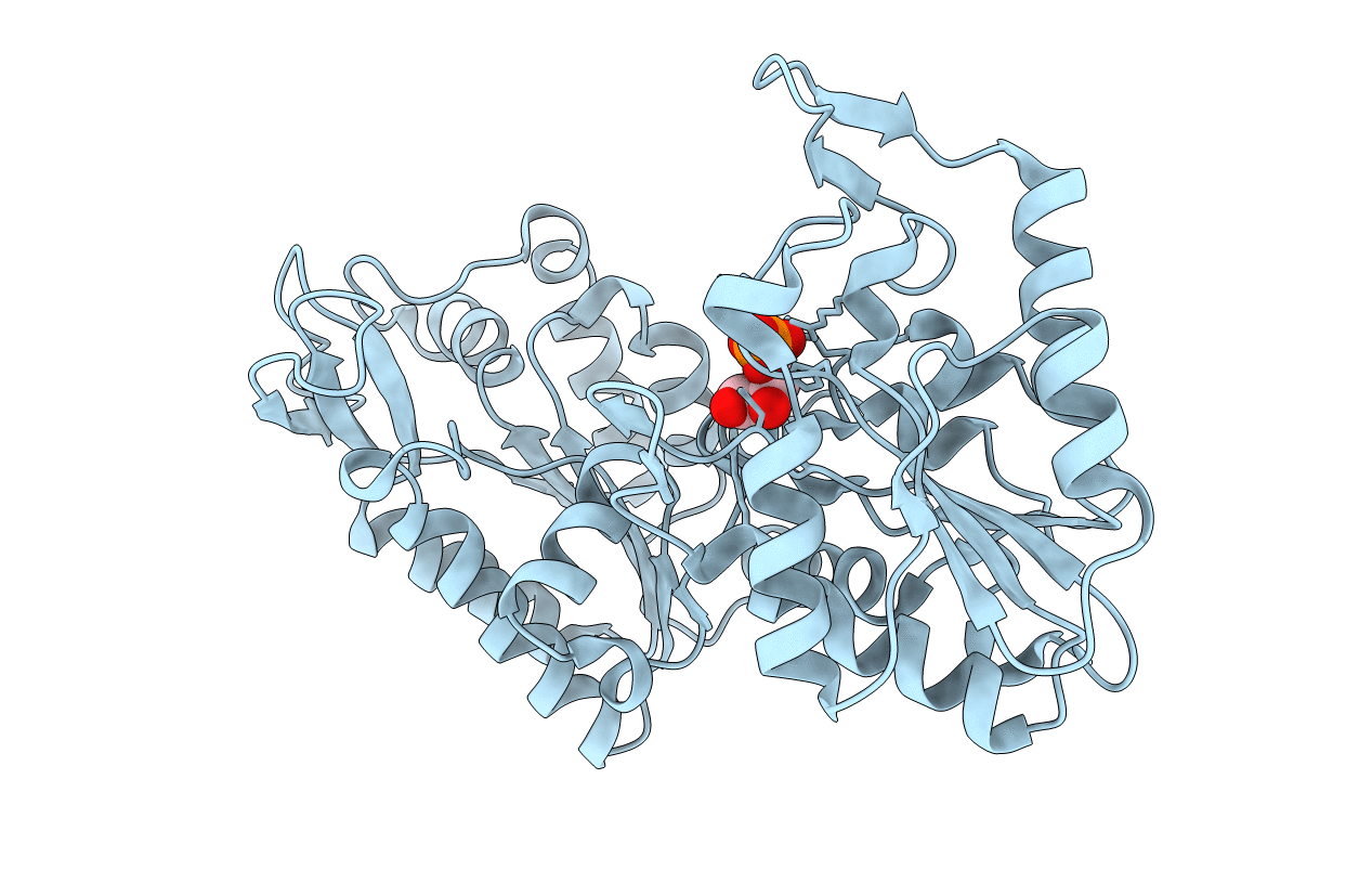 2XE6 image