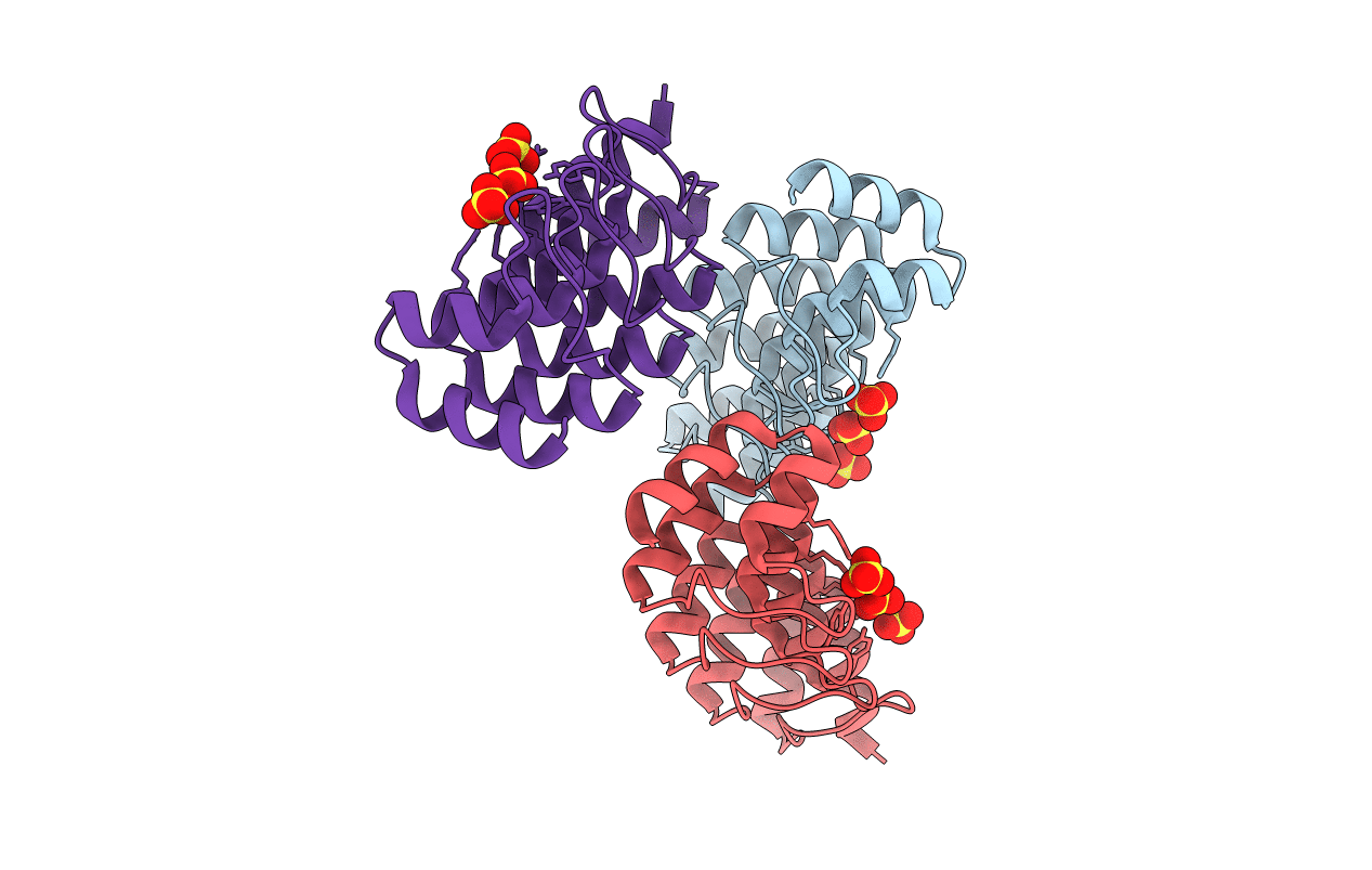 2XEH image
