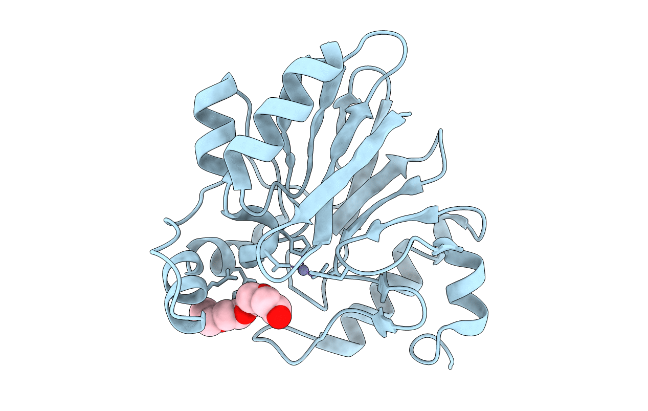 2XF4 image
