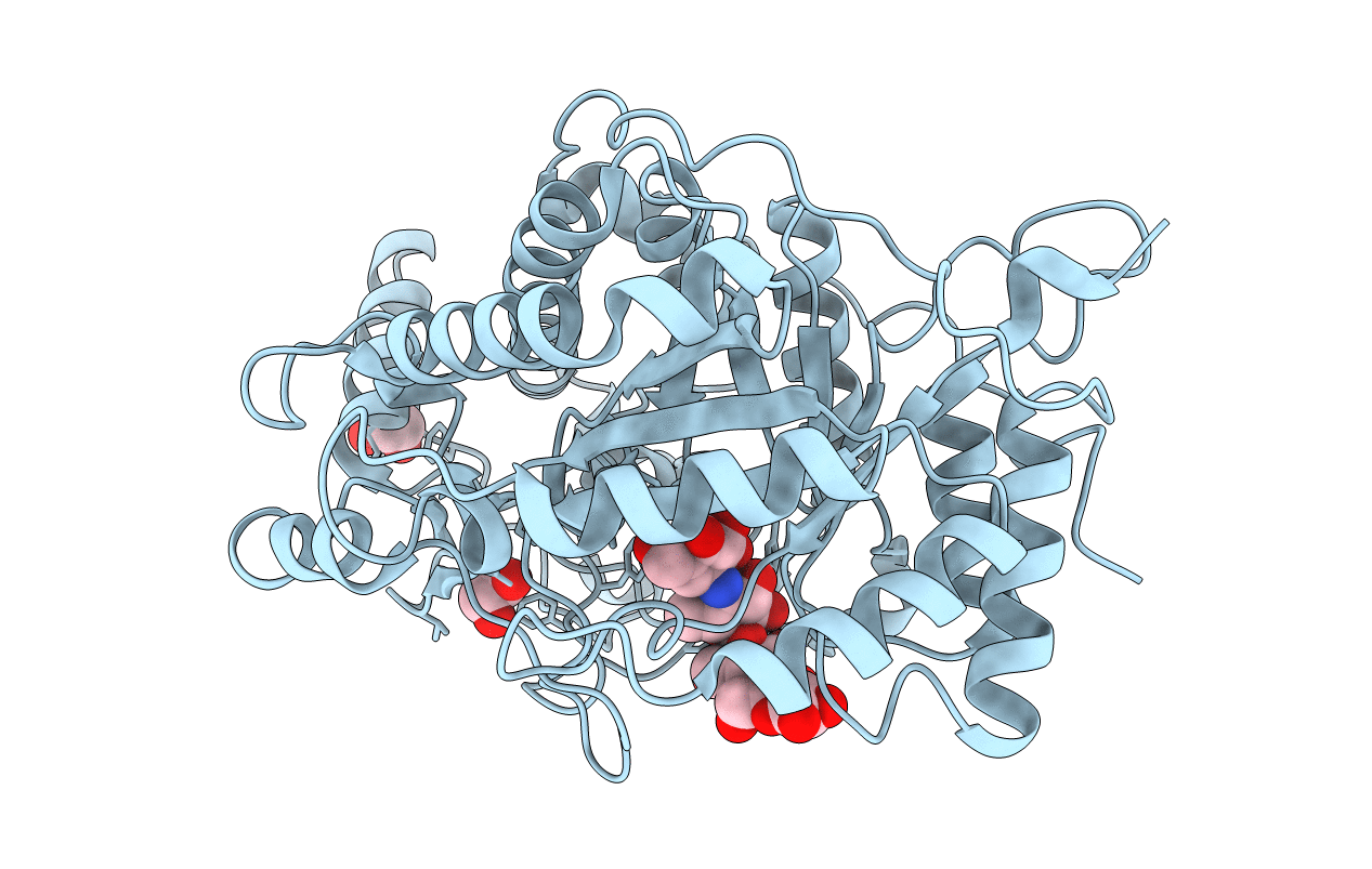 2XFF image