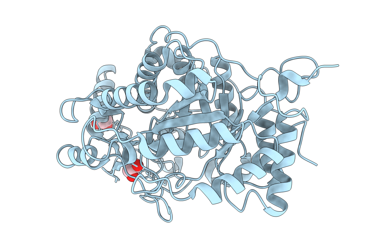 2XFR image