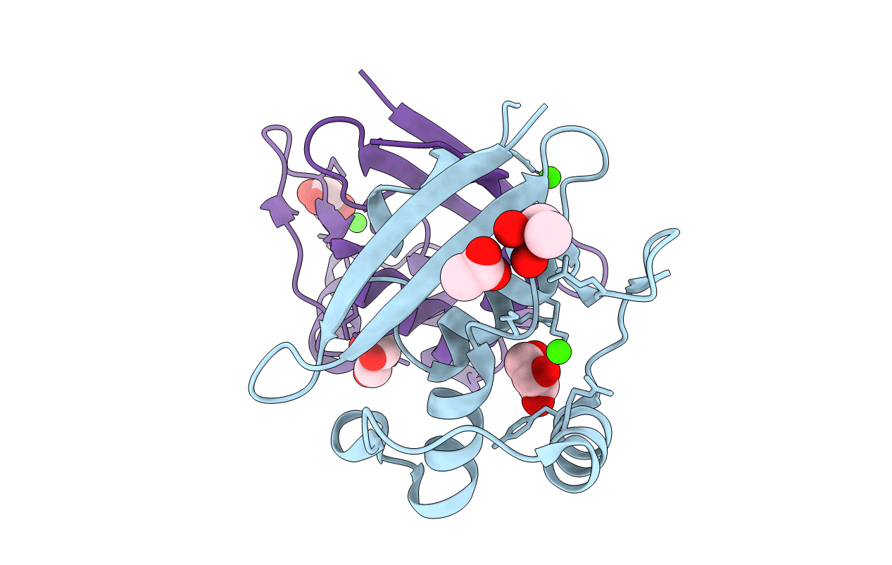 2XFV image