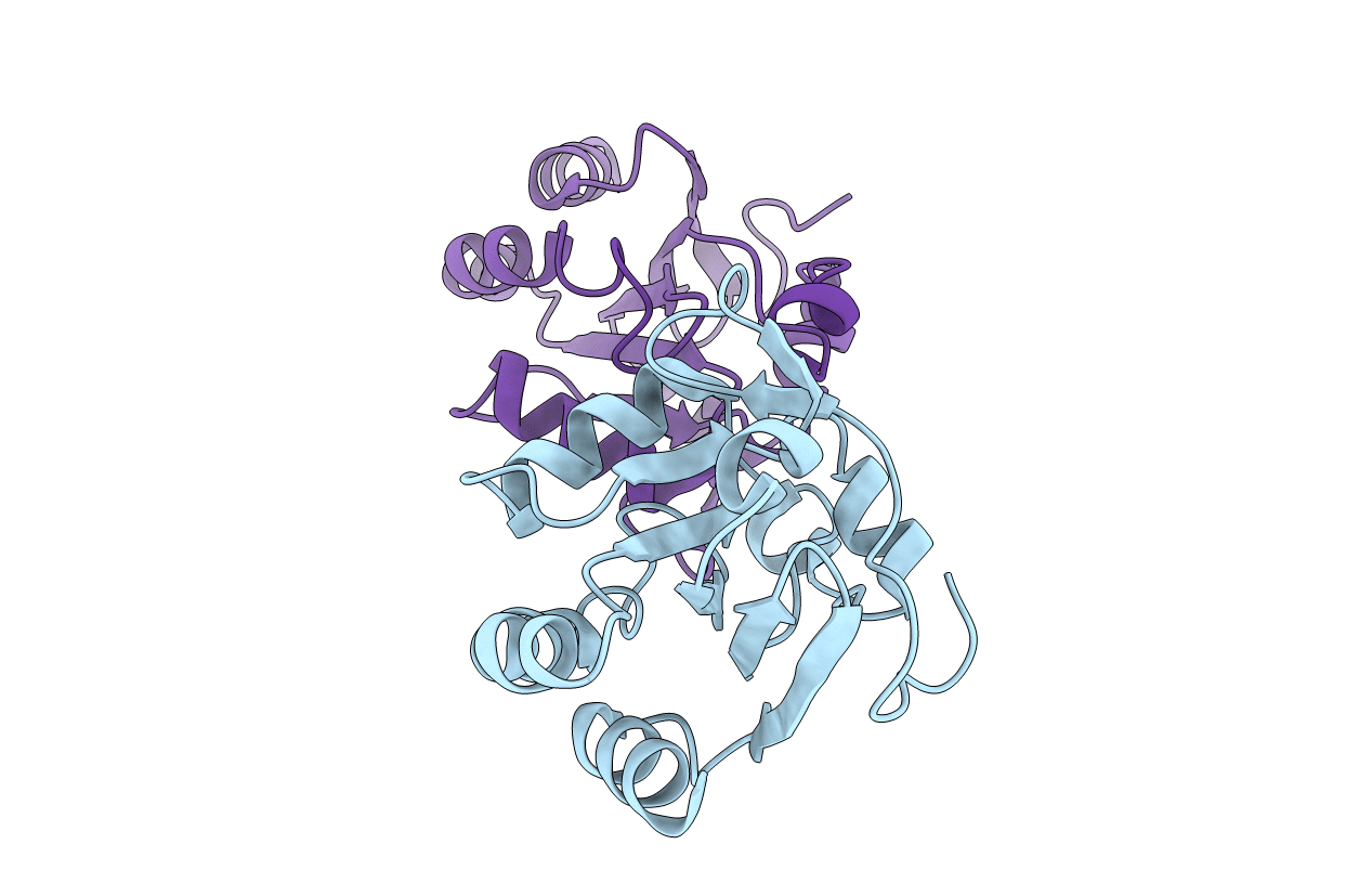 2XHF image