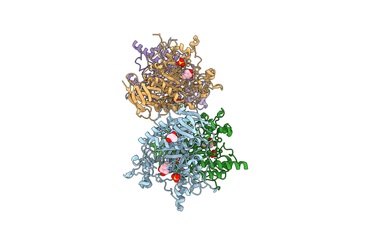 2XIB image