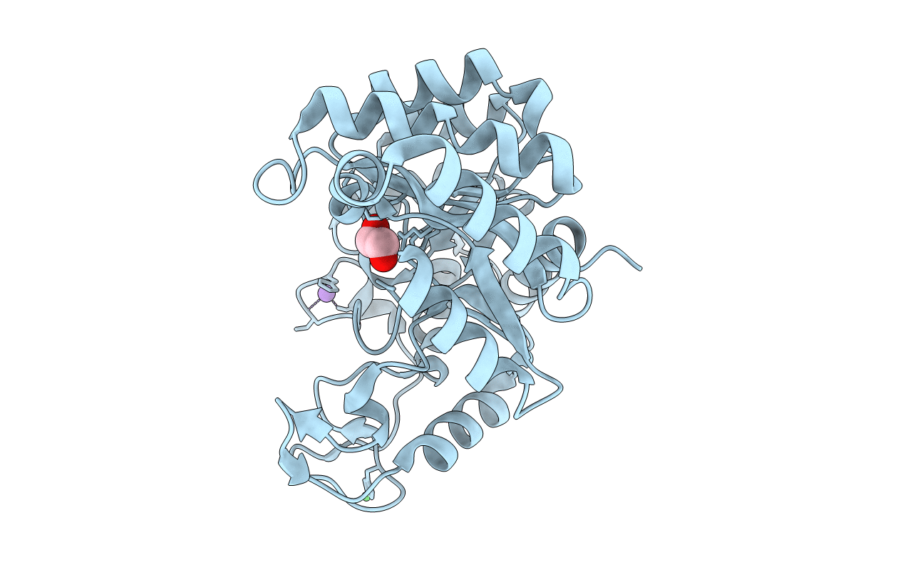 2XIO image