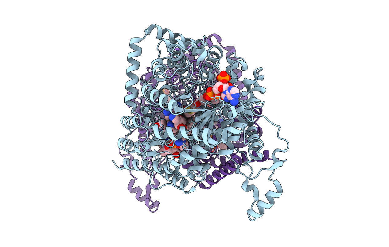 2XIQ image