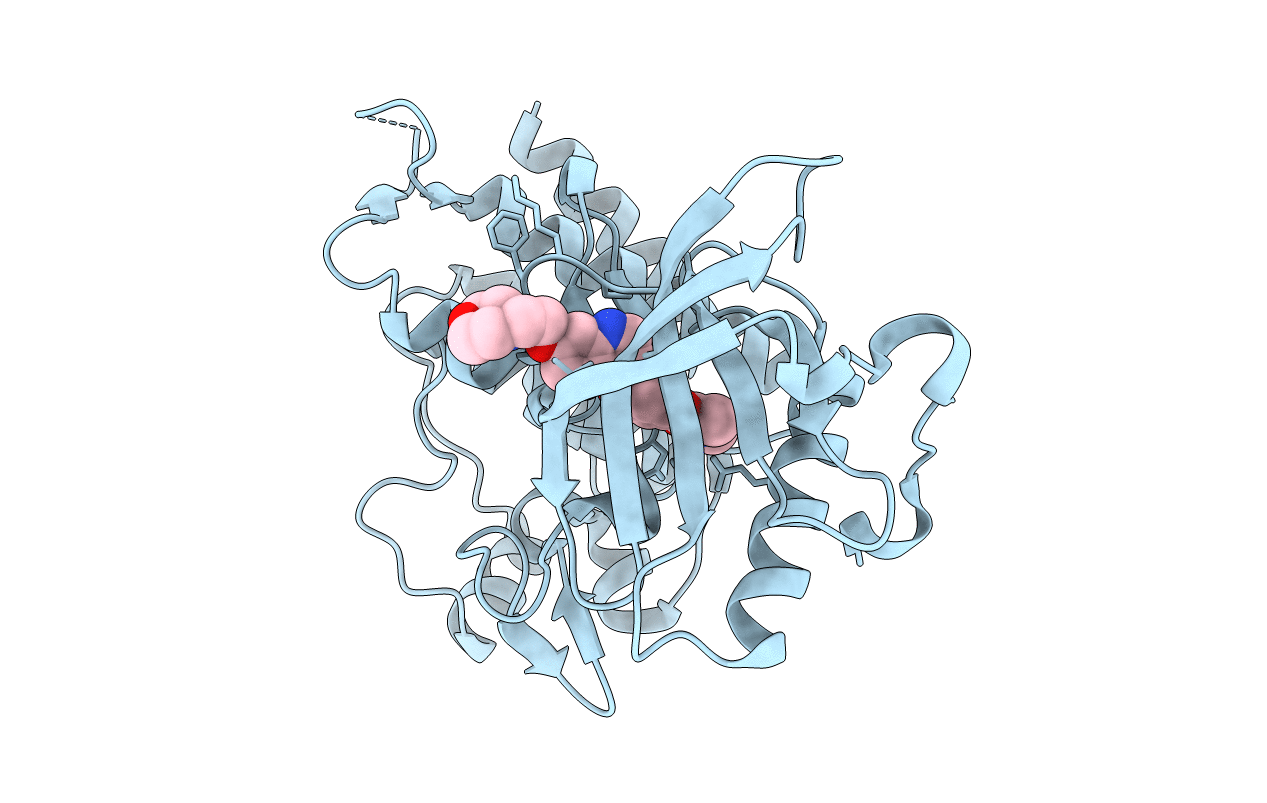 2XIR image