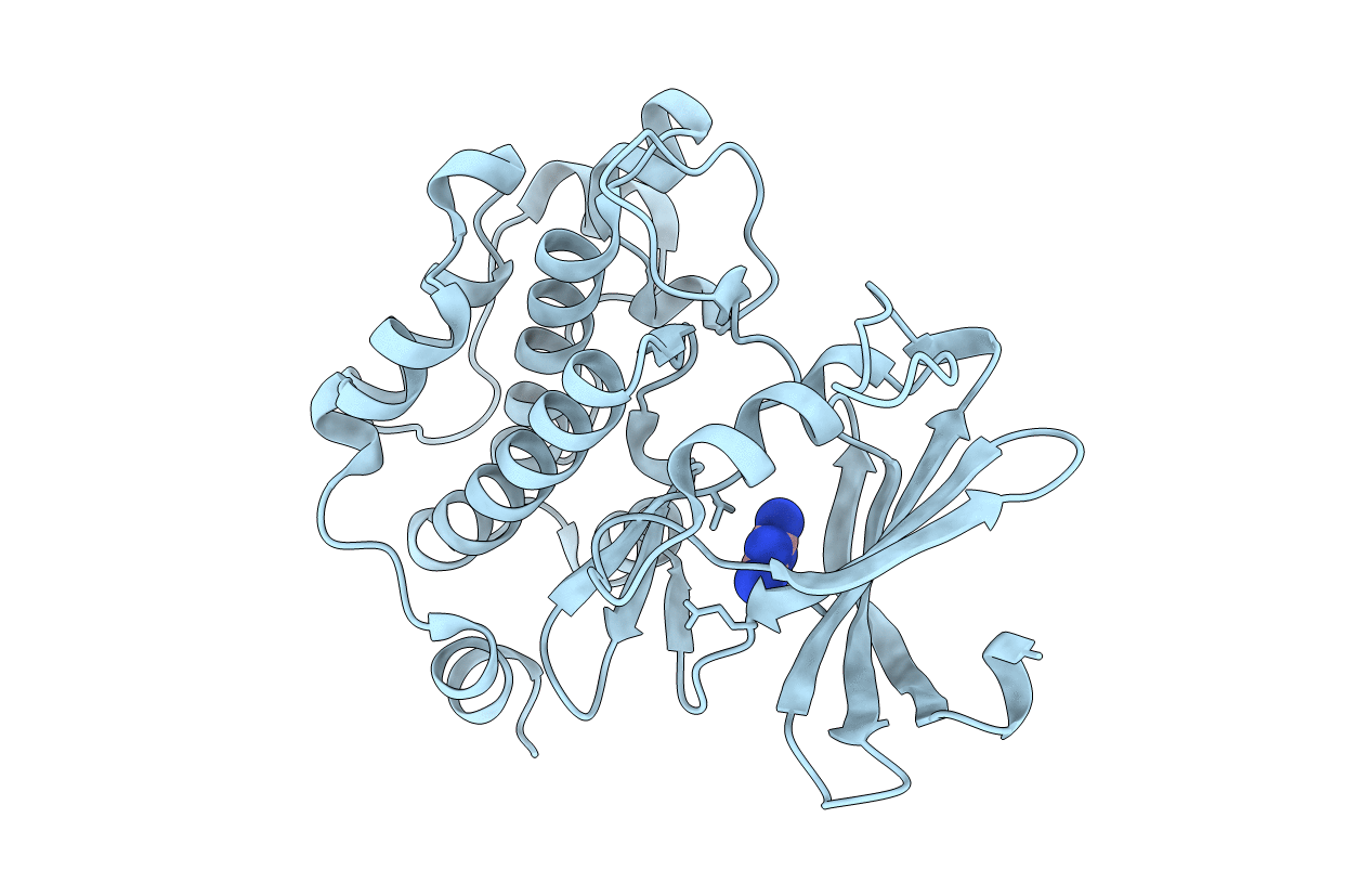 2XIX image