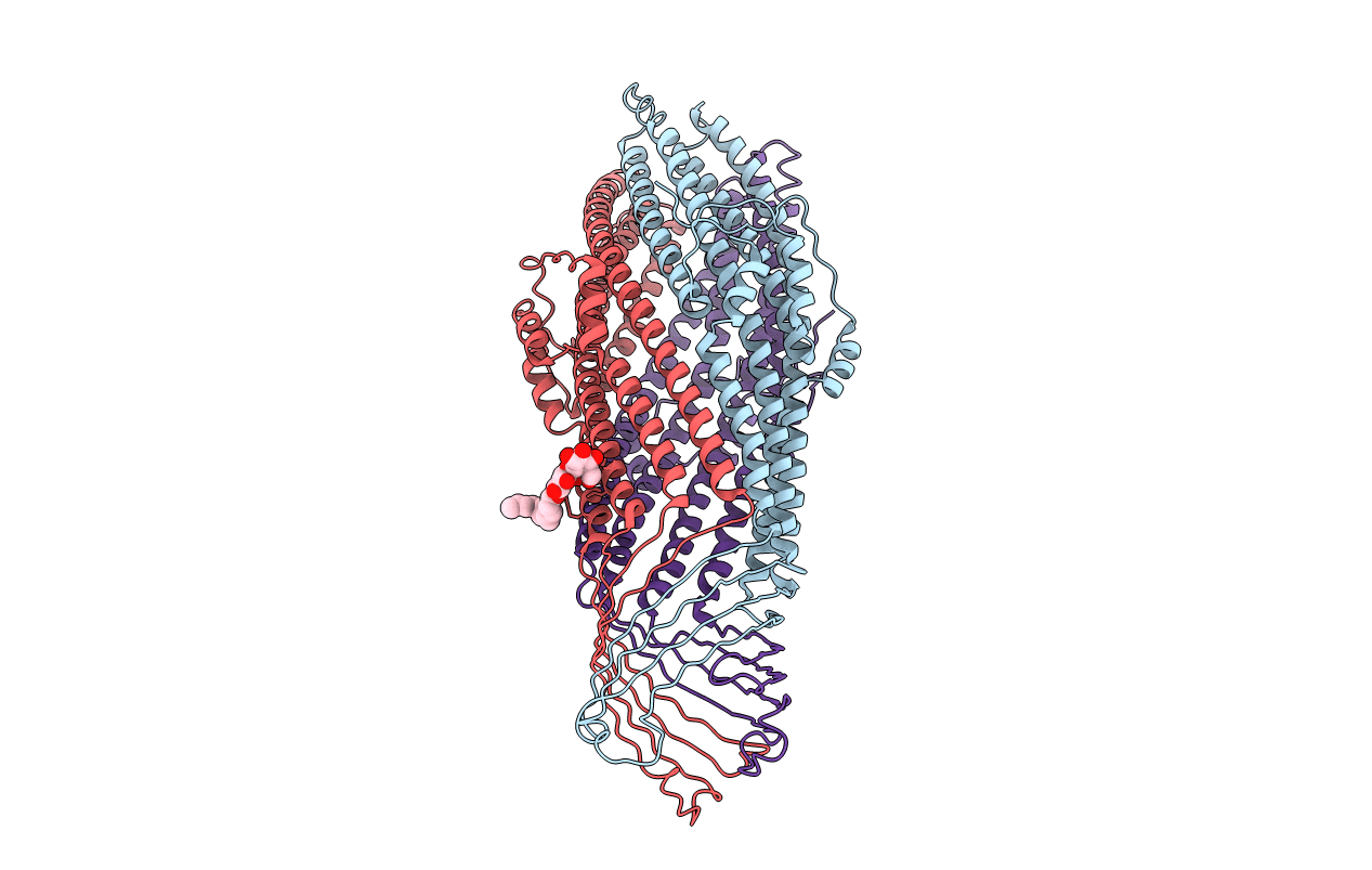 2XMN image