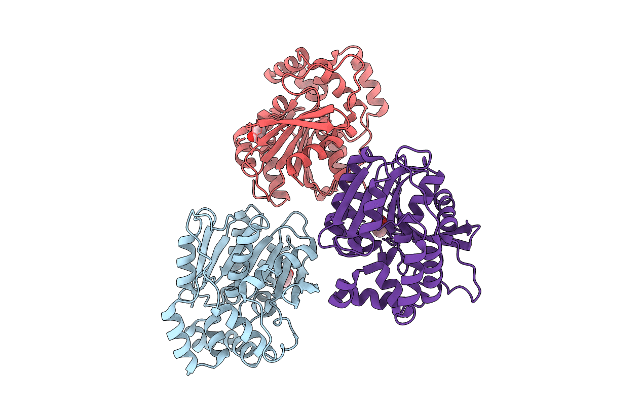 2XMQ image