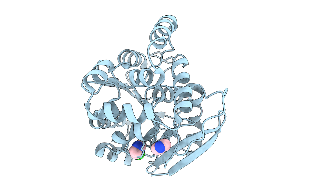 2XMS image
