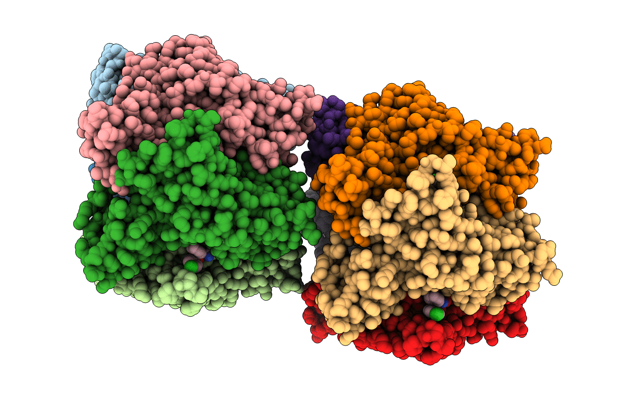 2XNT image
