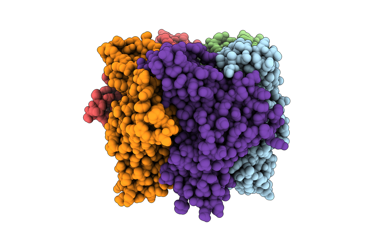 2XNU image