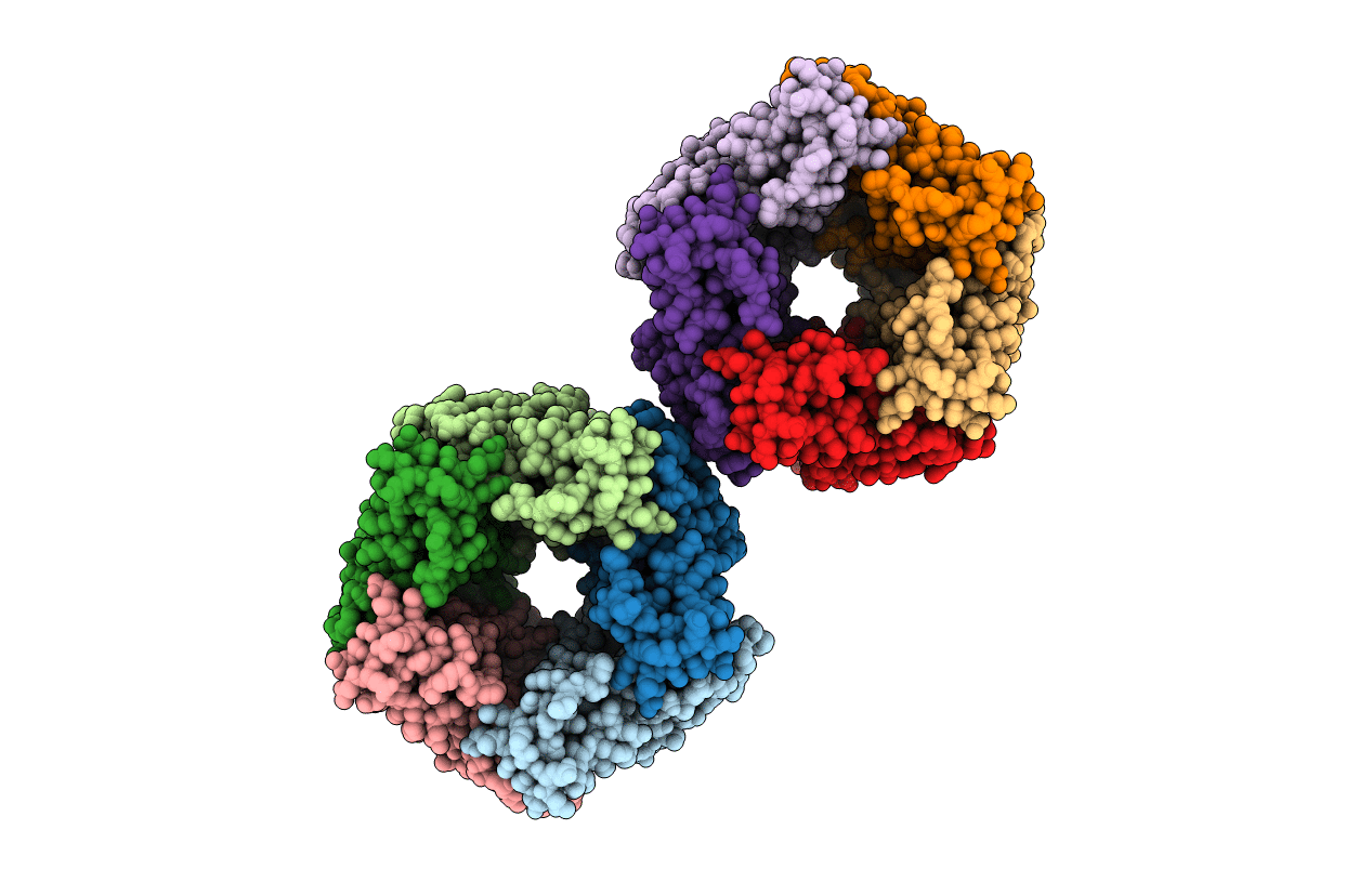 2XNV image