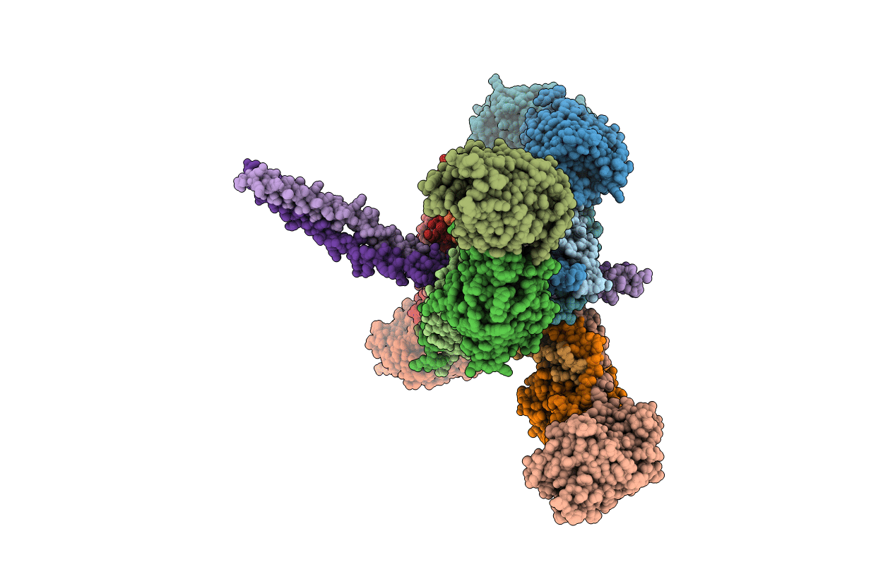2XNX image