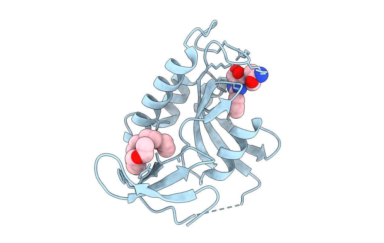 2XPA image