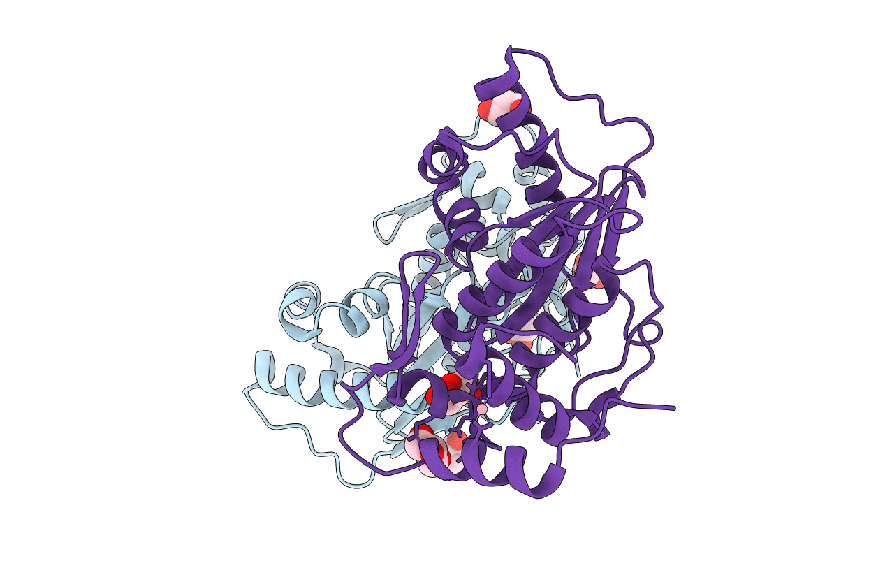 2XPH image