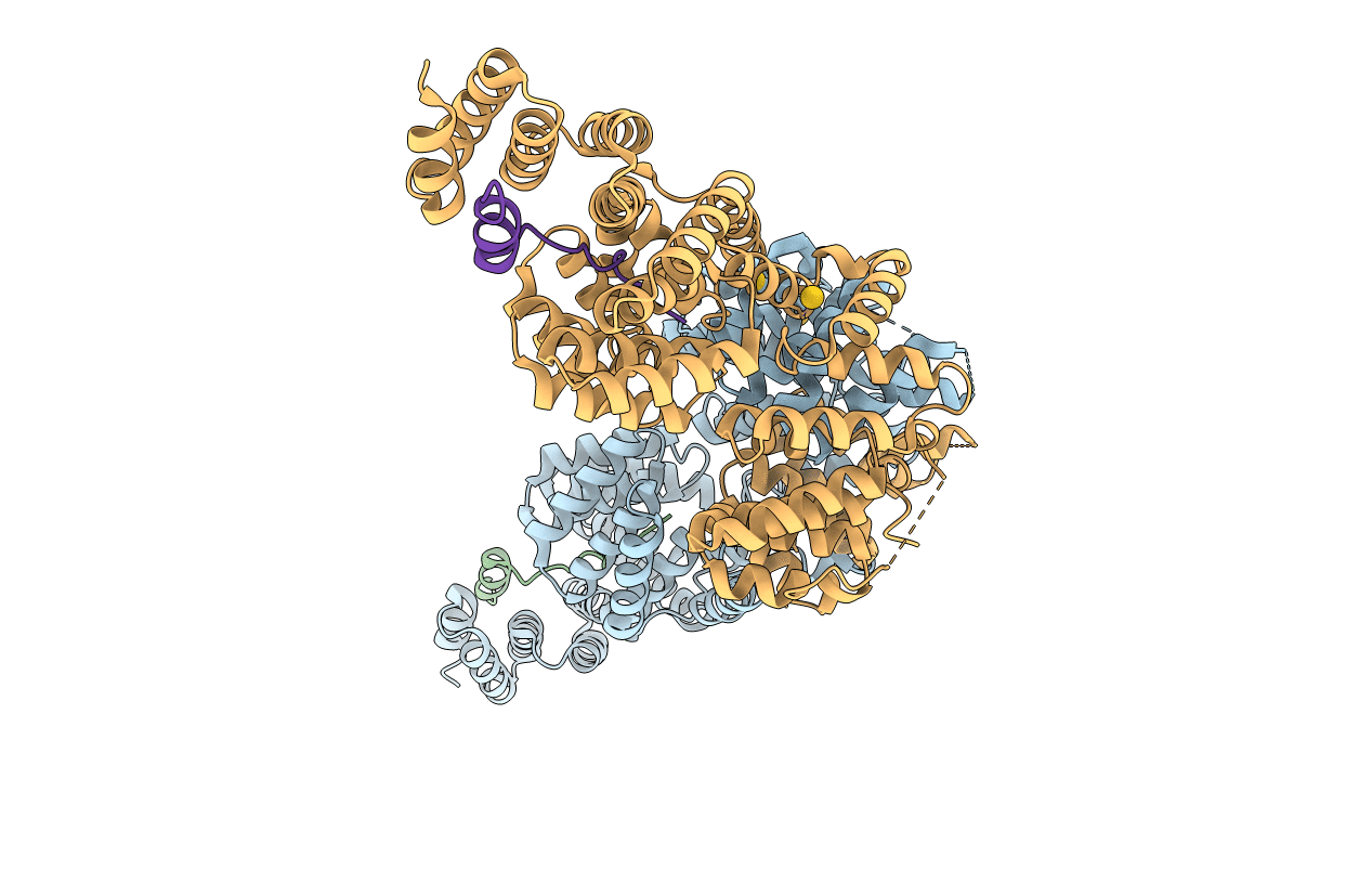 2XPI image