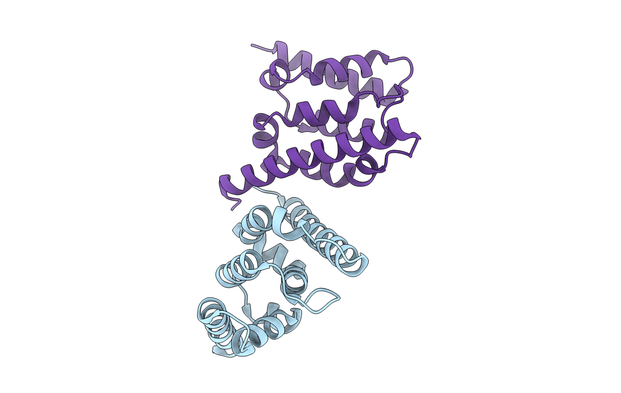 2XPL image