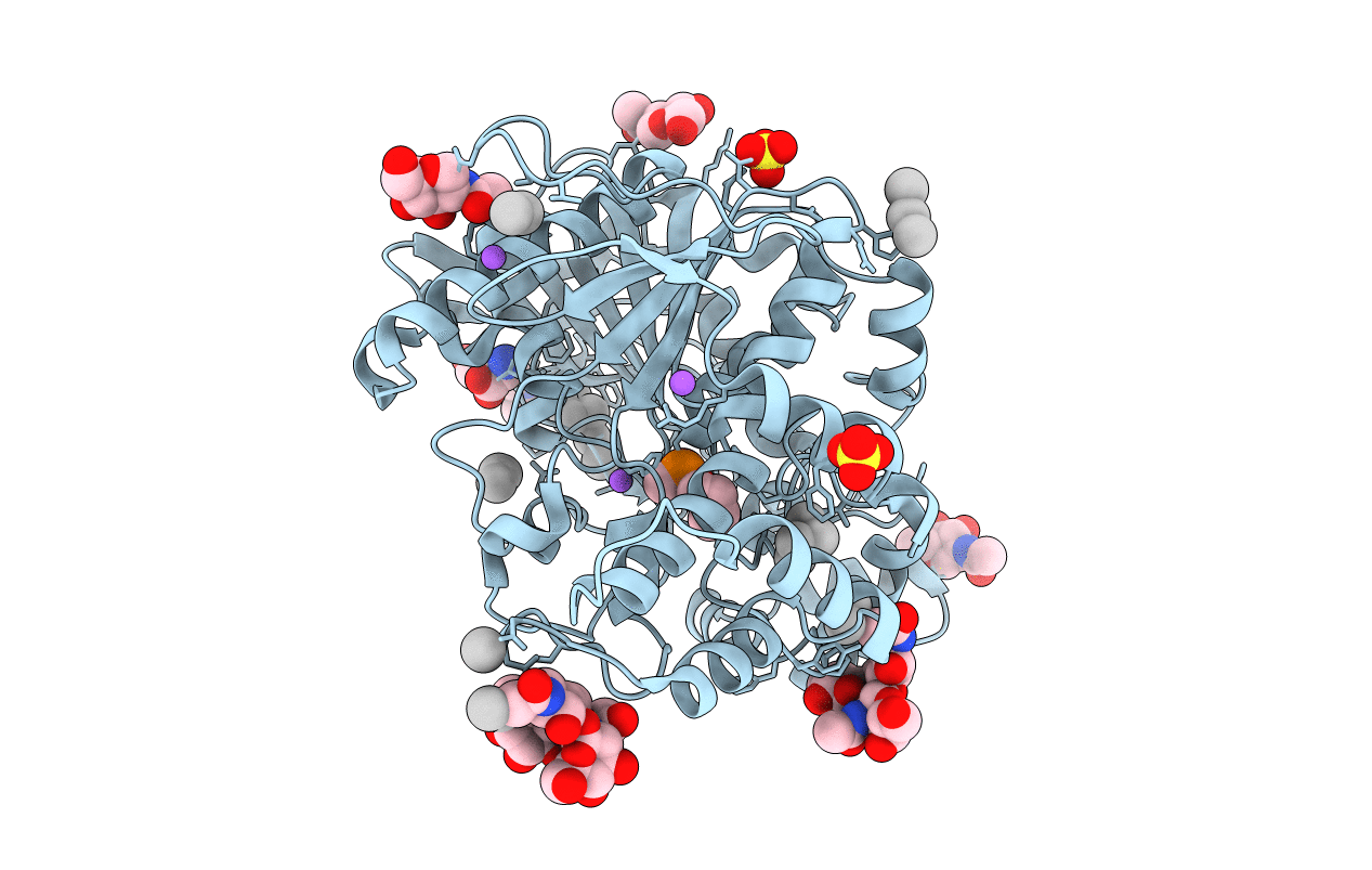 2XQI image